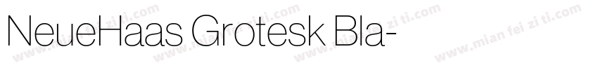 NeueHaas Grotesk Bla字体转换